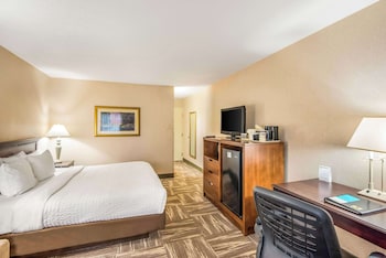 Standard Room, 1 King Bed, Non Smoking (Pet Friendly)