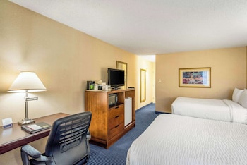 Standard Double Room, 2 Double Beds, Non Smoking (Atrium View, Pet Friendly)
