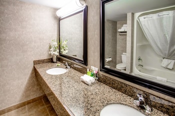 Studio Suite, 1 King Bed, Non Smoking