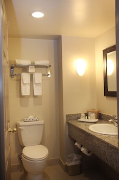 Executive Room (No pets allowed)