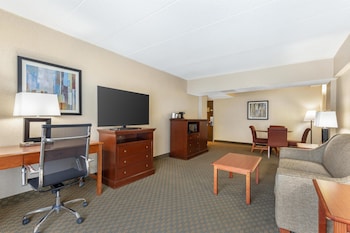 Suite, 1 King Bed, Non Smoking, Refrigerator & Microwave (with Sofabed)