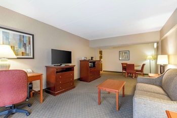 Suite, 1 King Bed, Non Smoking, Refrigerator & Microwave (with Sofabed)
