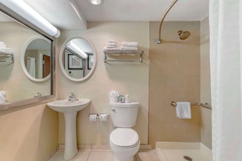 Standard Room, 2 Double Beds, Accessible, Non Smoking