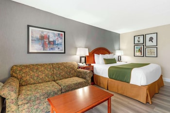 Standard Room, 1 King Bed, Non Smoking, Refrigerator & Microwave (with Sofabed)