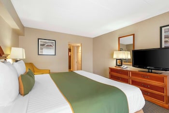 Suite, 1 King Bed, Non Smoking, Refrigerator & Microwave (with Sofabed)