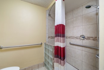 Deluxe Room, 1 King Bed, Accessible, Non Smoking (Roll-In Shower)