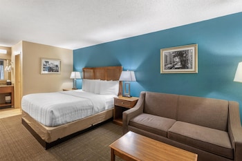 Standard Room, 1 King Bed, Non Smoking, Refrigerator & Microwave