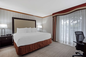 Standard Room, 1 King Bed, Non Smoking, Jetted Tub