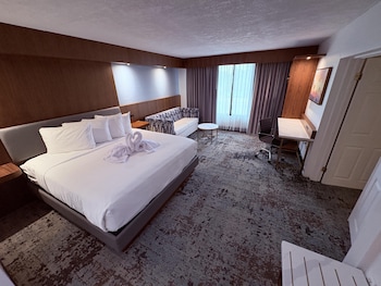 Suite, 1 King Bed, Non Smoking (with Single Sofabed;Larger Room)