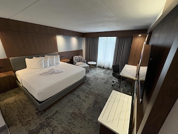 Standard Room, 1 King Bed, Non Smoking
