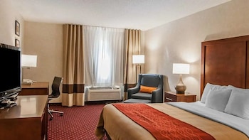 Room, 1 Queen Bed, Non Smoking