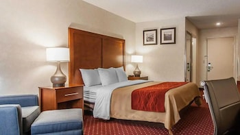 Room, 1 Queen Bed, Non Smoking