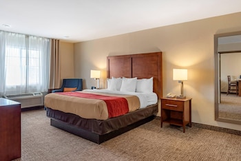 Suite, 1 King Bed with Sofa bed, Non Smoking