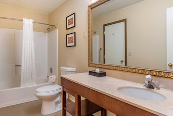 Suite, 1 King Bed with Sofa bed, Non Smoking