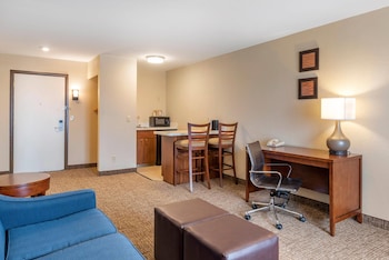 Suite, 1 King Bed with Sofa bed, Non Smoking
