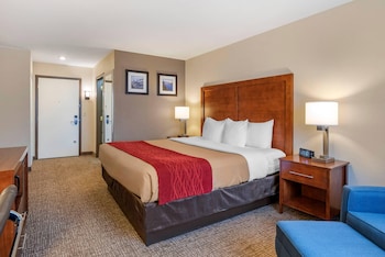 Room, 1 King Bed, Accessible, Non Smoking