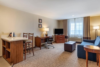 Suite, 1 King Bed with Sofa bed, Non Smoking
