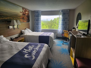 Double Room, 2 Double Beds