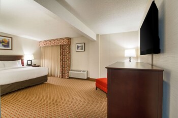 Suite, 1 King Bed, Non Smoking (Bridal)