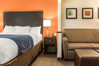 Suite, 1 King Bed with Sofa bed, Non Smoking (2 Person Sofa bed)