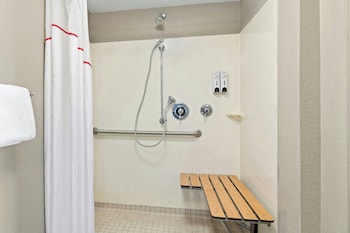 Deluxe Room, 1 King Bed, Roll-in Shower, Non Smoking (Smoke Free)