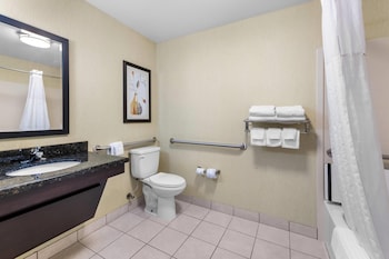 Suite, 1 King Bed with Sofa bed, Accessible, Non Smoking