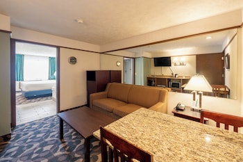 Standard Suite, 1 King Bed with Sofa bed, Non Smoking, Jetted Tub