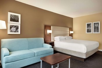 Room, 1 King Bed with Sofa bed