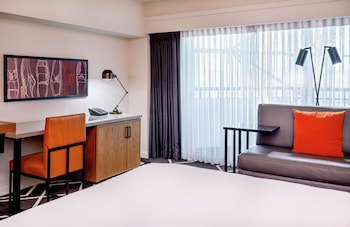 Room, 1 King Bed