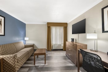 Suite, 1 King Bed with Sofa bed, Non Smoking, Kitchen (with Sofabed)