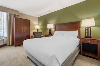 Standard Room, 1 Queen Bed, Non Smoking