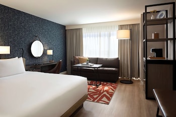 Room, 1 King Bed