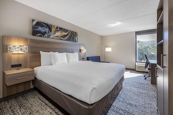 Standard Room, 1 King Bed, Non Smoking, Refrigerator (with Sofabed)