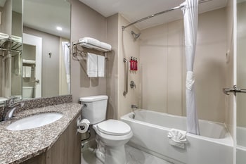 Standard Room, 1 King Bed, Non Smoking, Refrigerator (with Sofabed)