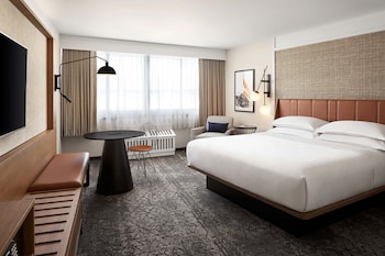 Room, 1 King Bed