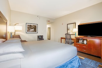 Deluxe Room, 1 King Bed, Non Smoking