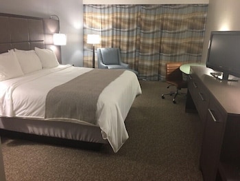 Room, 1 King Bed, Non Smoking