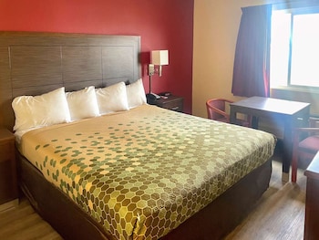 Standard Room, 1 King Bed, Non Smoking