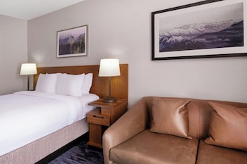Room, 1 King Bed with Sofa bed