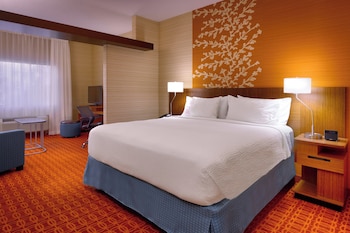Suite, 1 King Bed with Sofa bed