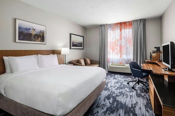 Room, 1 King Bed with Sofa bed
