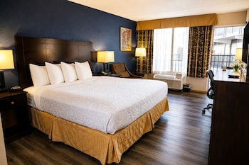 Premium Single Room, 1 King Bed, Non Smoking, Ensuite