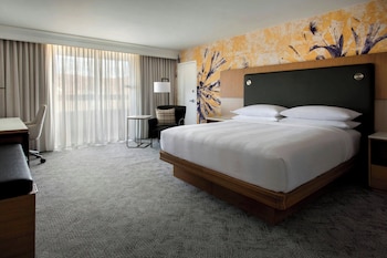 Room, 1 King Bed