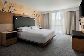 Club Room, 1 King Bed