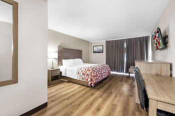 Superior Room, 1 King Bed, Accessible, Non Smoking (Roll-In Shower)