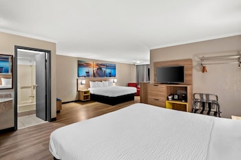 Studio Suite, Multiple Beds, Non Smoking