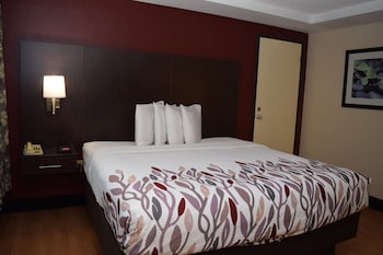 Superior Room, 1 King Bed, Non Smoking
