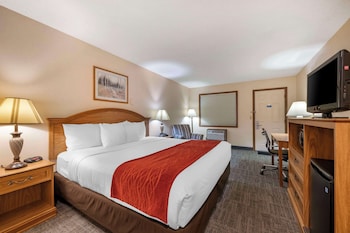 Standard Room, 1 King Bed, Accessible, Non Smoking