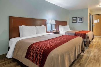 Standard Room, 2 Queen Beds, Non Smoking, Refrigerator & Microwave (Pet Friendly)