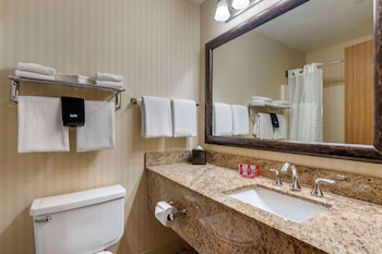 Standard Room, 1 King Bed, Non Smoking, Refrigerator & Microwave (Pet Friendly)